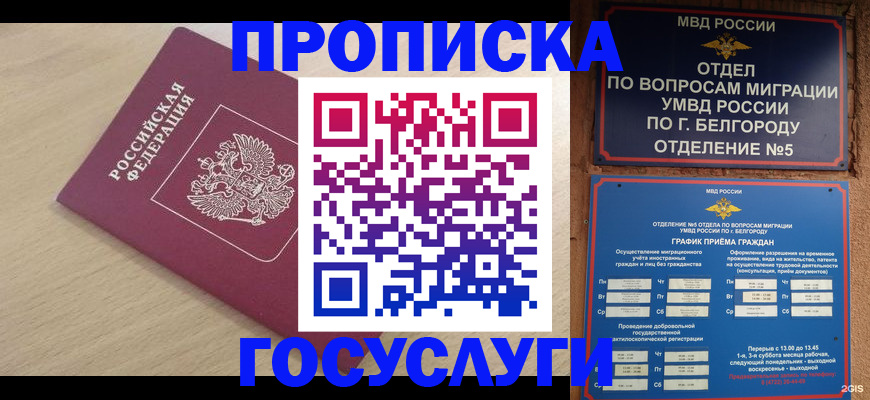 прописка законно в Аркадаке
